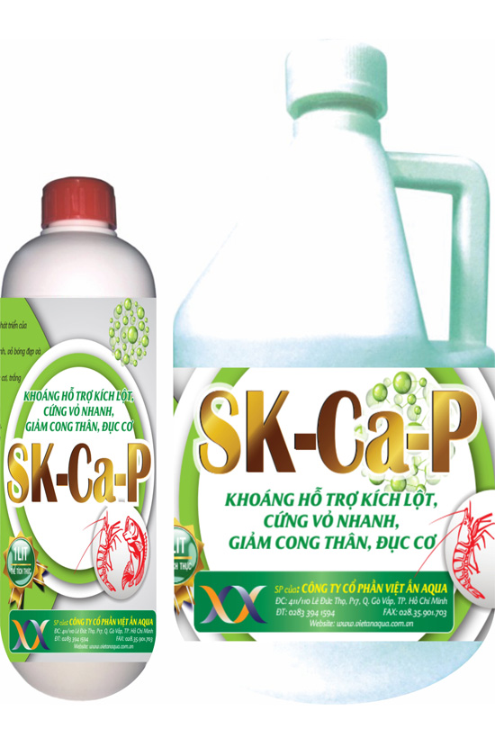 SK - CaP